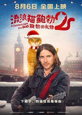完结高清影视
