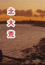 最近国语在线观看