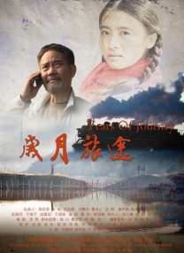 BD国语电影免费在线