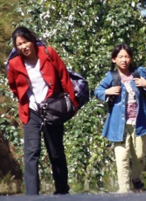 HD手机免费观看完整