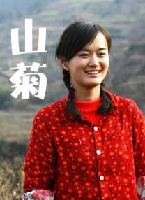 高清影视