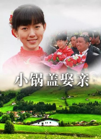 BD国语电影免费在线