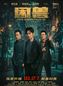 DVD高清完整版