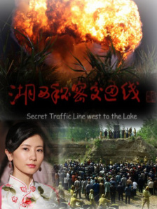 高清蓝光在线观看