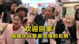 手机免费播放
