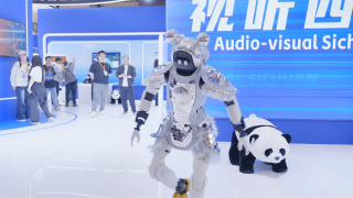 BD国语高清完整版